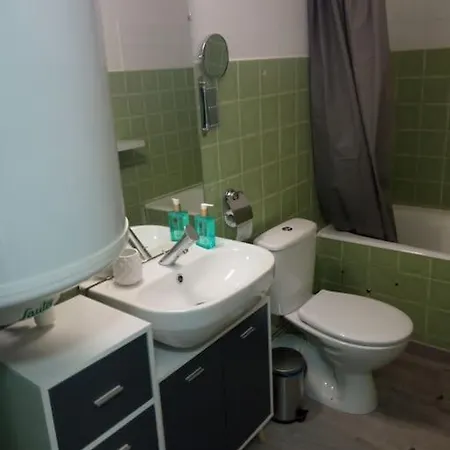 Apartamento Chez Loic Et Melanie Besse-et-Saint-Anastaise Exterior foto