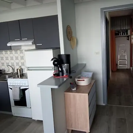 Apartamento Chez Loic Et Melanie Besse-et-Saint-Anastaise Exterior foto
